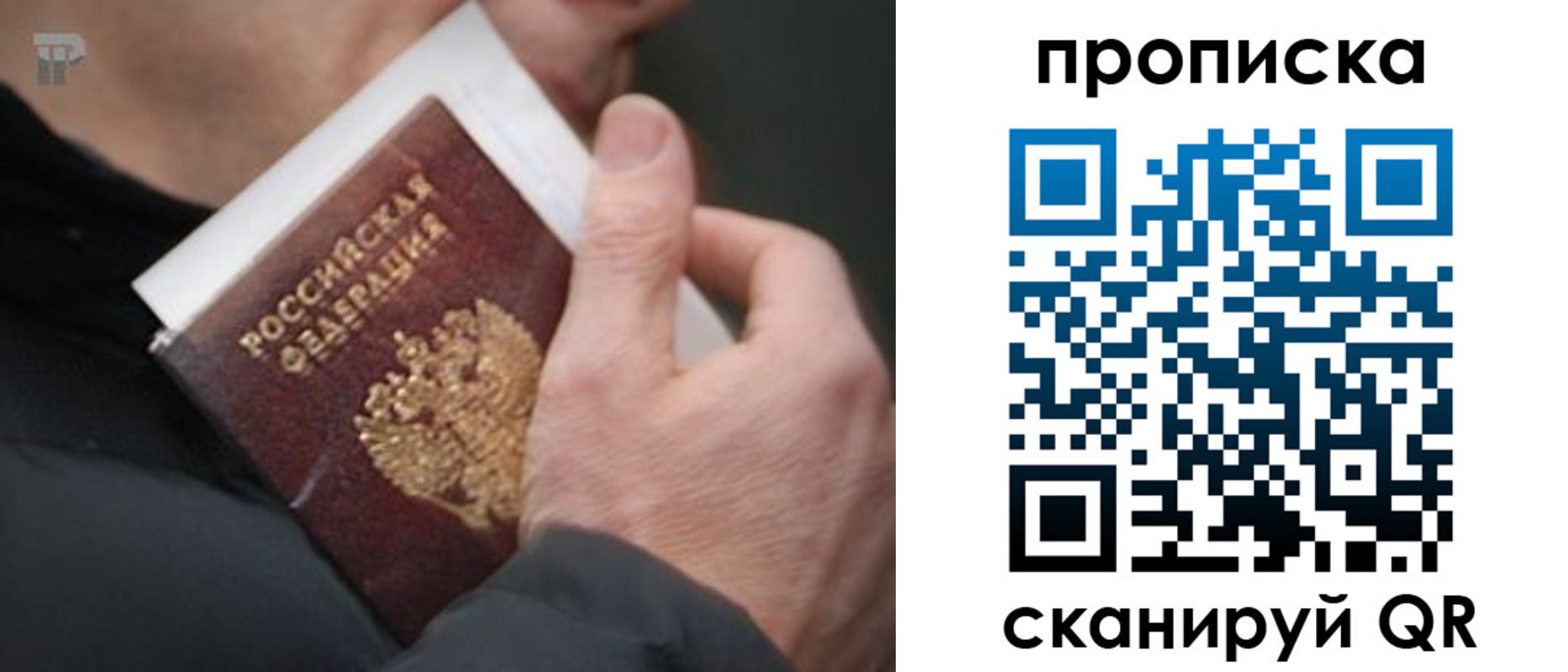 временная регистрация гарантия в Невинномысске